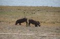 tbn_IMG_4483
